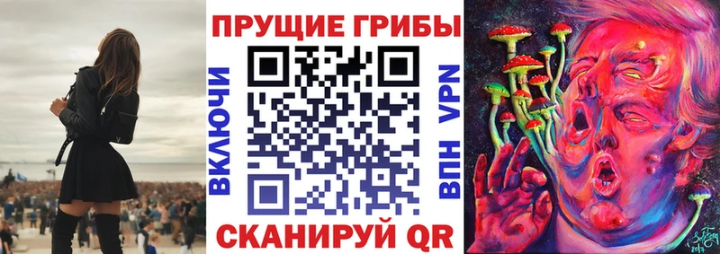 купить наркотик  мега ТОР  Псилоцибиновые грибы Cubensis  Неман 