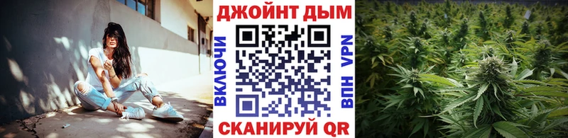 Конопля сатива Неман